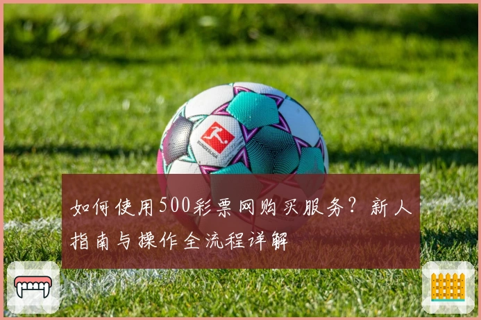 如何使用500彩票网购买服务？新人指南与操作全流程详解