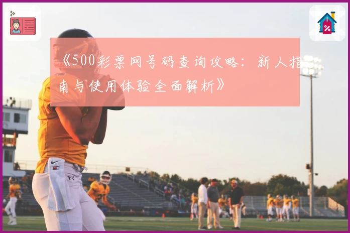 《500彩票网号码查询攻略：新人指南与使用体验全面解析》