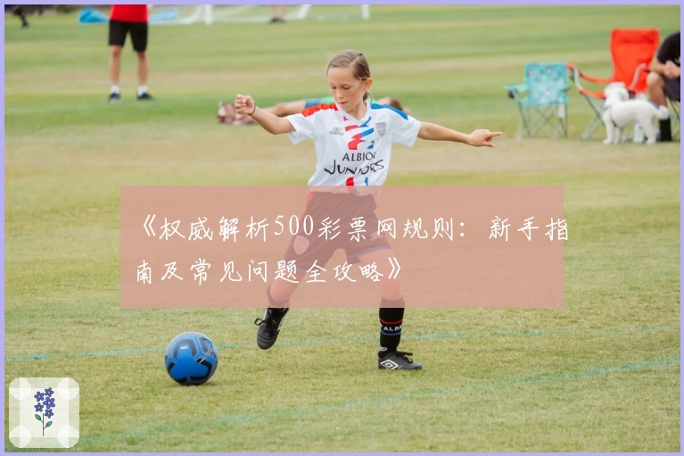 《权威解析500彩票网规则：新手指南及常见问题全攻略》