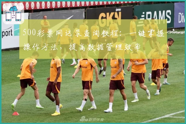 500彩票网记录查询教程:一键掌握操作方法,提高数据管理效率