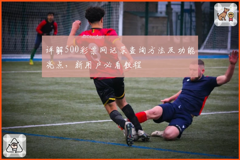 详解500彩票网记录查询方法及功能亮点，新用户必看教程