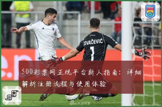 500彩票网正规平台新人指南：详细解析注册流程与使用体验